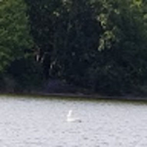 Meet your Posher, Sherry